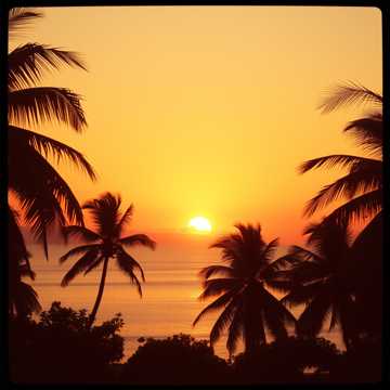 Bonbini ..by Nadia Shahwan